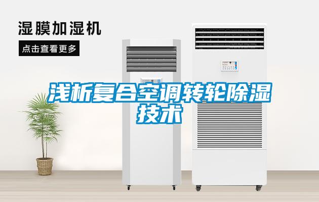 淺析復合空調(diào)轉輪除濕技術
