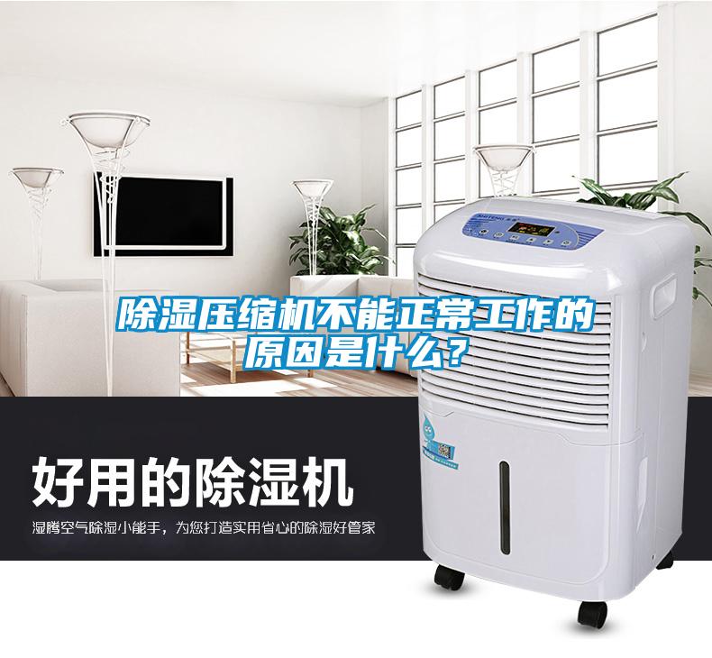 除濕壓縮機(jī)不能正常工作的原因是什么？