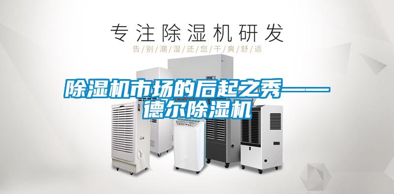 除濕機市場的后起之秀——德爾除濕機