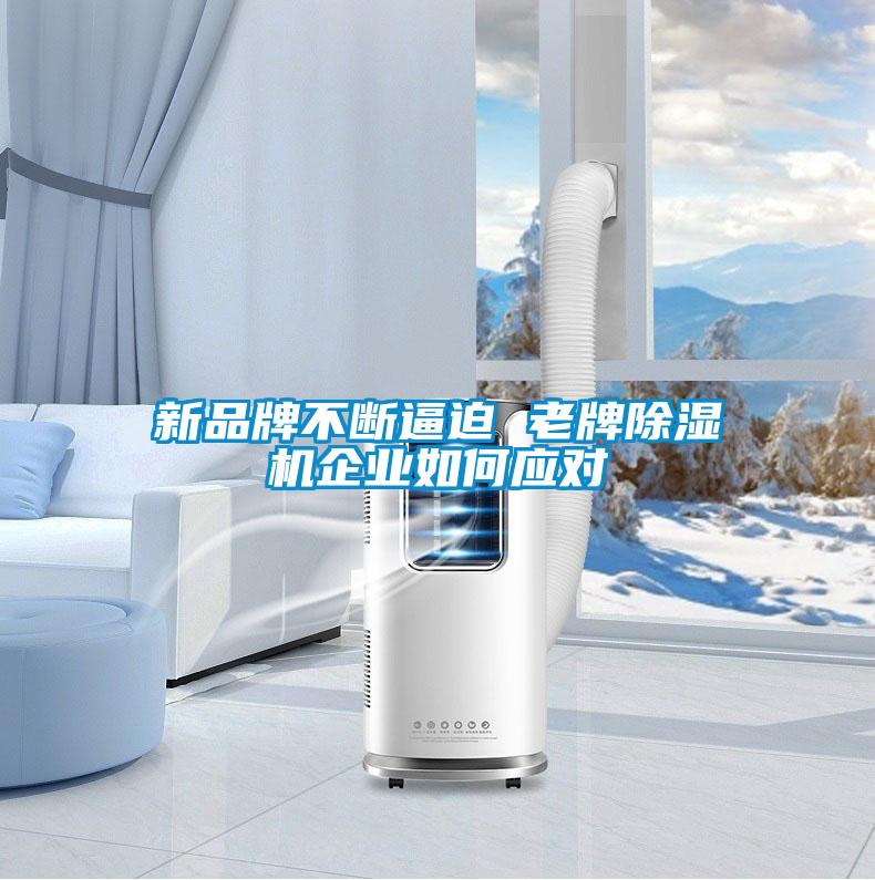新品牌不斷逼迫 老牌除濕機(jī)企業(yè)如何應(yīng)對(duì)