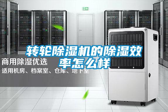 轉輪除濕機的除濕效率怎么樣