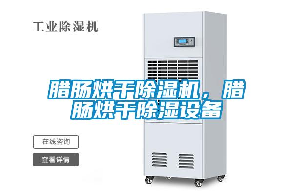 臘腸烘干除濕機(jī)，臘腸烘干除濕設(shè)備