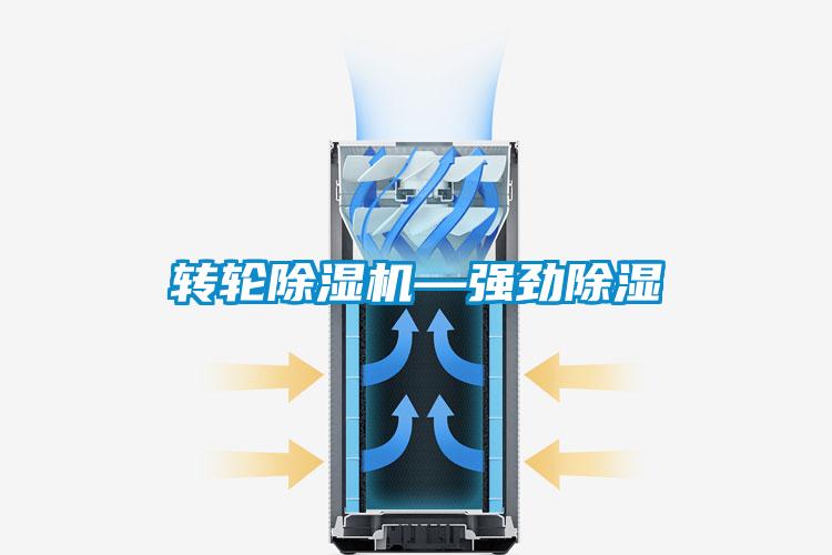 轉(zhuǎn)輪除濕機—強勁除濕