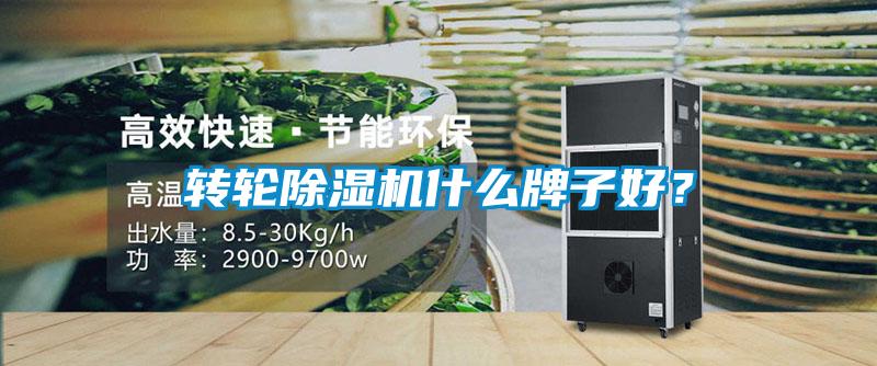 轉輪除濕機什么牌子好？
