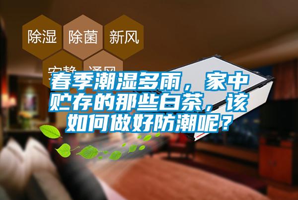 春季潮濕多雨，家中貯存的那些白茶，該如何做好防潮呢？