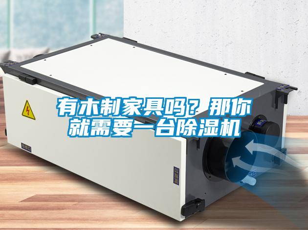 有木制家具嗎？那你就需要一臺除濕機(jī)