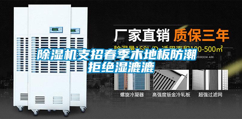 除濕機(jī)支招春季木地板防潮 拒絕濕漉漉