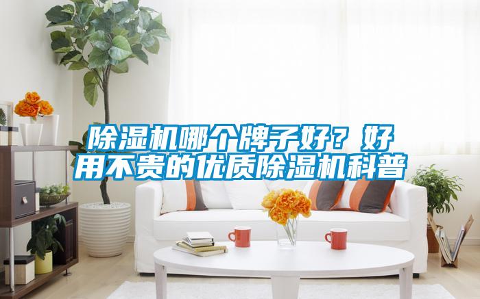 除濕機哪個牌子好？好用不貴的優(yōu)質(zhì)除濕機科普