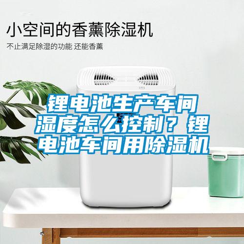 鋰電池生產(chǎn)車間濕度怎么控制？鋰電池車間用除濕機