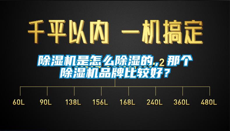 除濕機是怎么除濕的，那個除濕機品牌比較好？