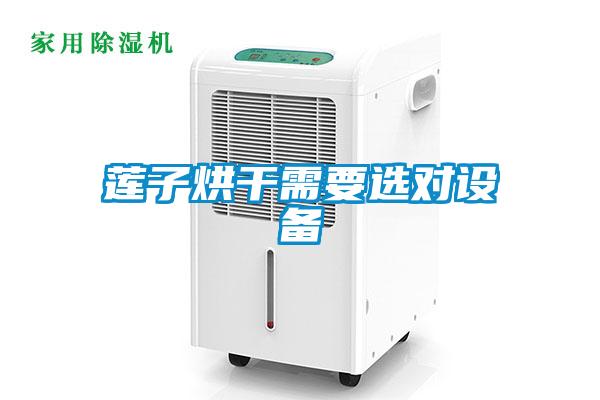 蓮子烘干需要選對(duì)設(shè)備