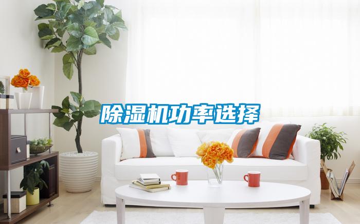 除濕機功率選擇