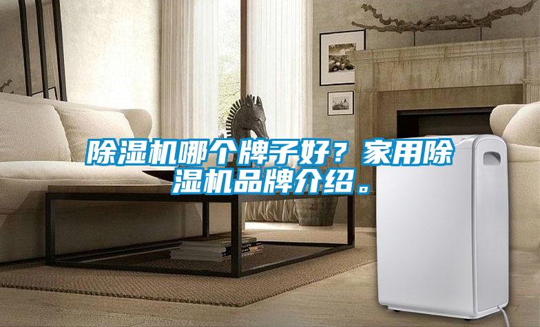 除濕機哪個牌子好？家用除濕機品牌介紹。