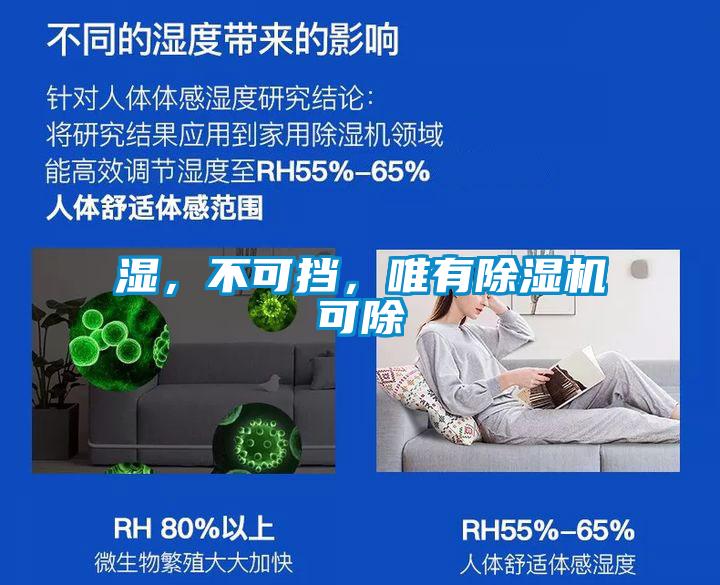 濕，不可擋，唯有除濕機可除