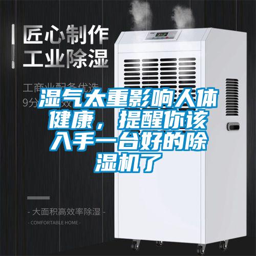 濕氣太重影響人體健康，提醒你該入手一臺(tái)好的除濕機(jī)了