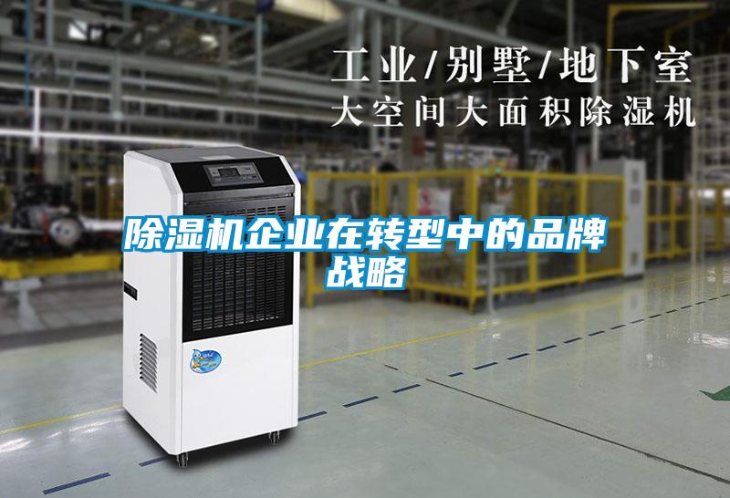 除濕機企業(yè)在轉(zhuǎn)型中的品牌戰(zhàn)略