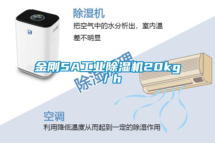 金剛5A工業(yè)除濕機20kg／h