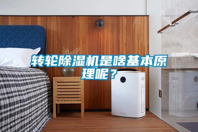 轉輪除濕機是啥基本原理呢？