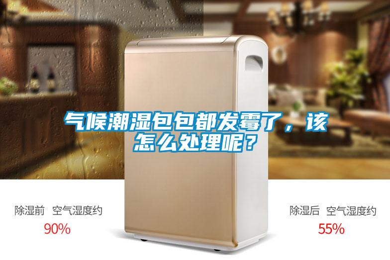 氣候潮濕包包都發(fā)霉了，該怎么處理呢？