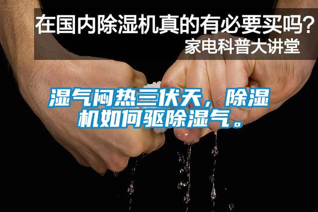 濕氣悶熱三伏天，除濕機(jī)如何驅(qū)除濕氣。