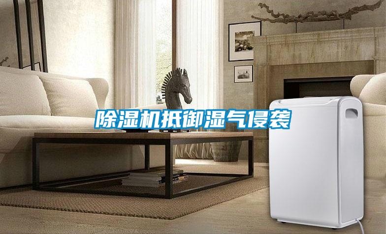 除濕機(jī)抵御濕氣侵襲