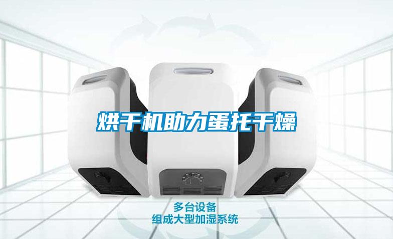 烘干機助力蛋托干燥