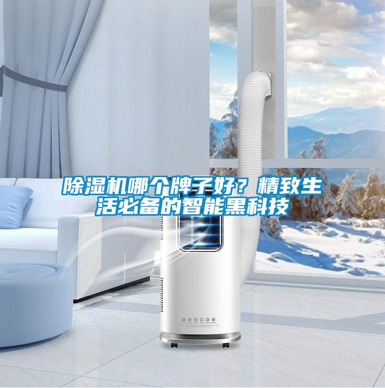除濕機(jī)哪個(gè)牌子好？精致生活必備的智能黑科技