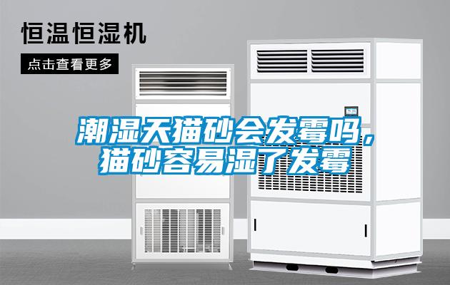 潮濕天貓砂會(huì)發(fā)霉嗎，貓砂容易濕了發(fā)霉