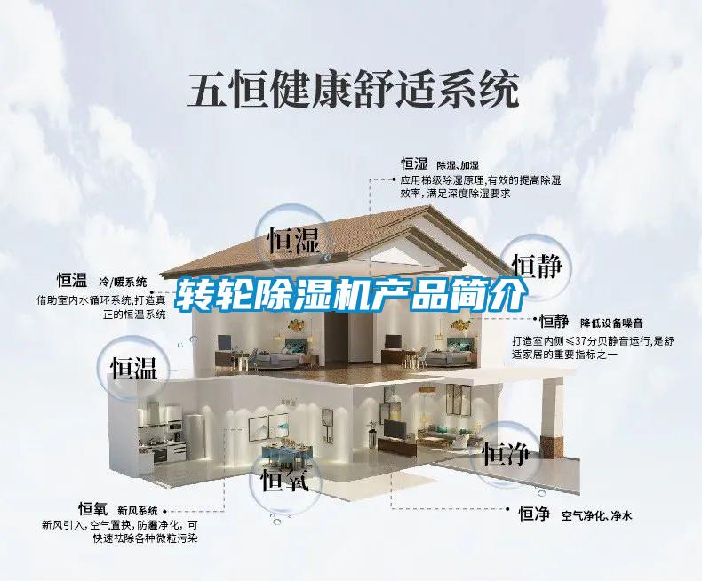 轉(zhuǎn)輪除濕機產(chǎn)品簡介