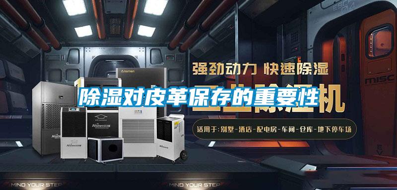 除濕對(duì)皮革保存的重要性