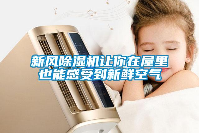新風(fēng)除濕機(jī)讓你在屋里也能感受到新鮮空氣