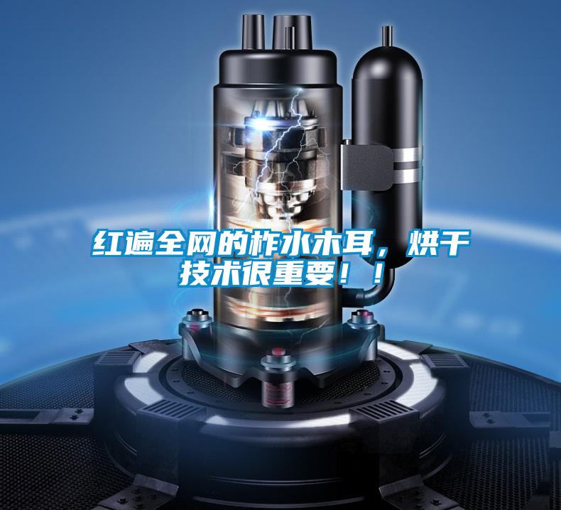 紅遍全網(wǎng)的柞水木耳，烘干技術(shù)很重要??！