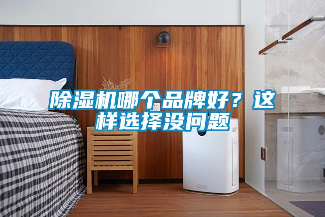 除濕機哪個品牌好？這樣選擇沒問題