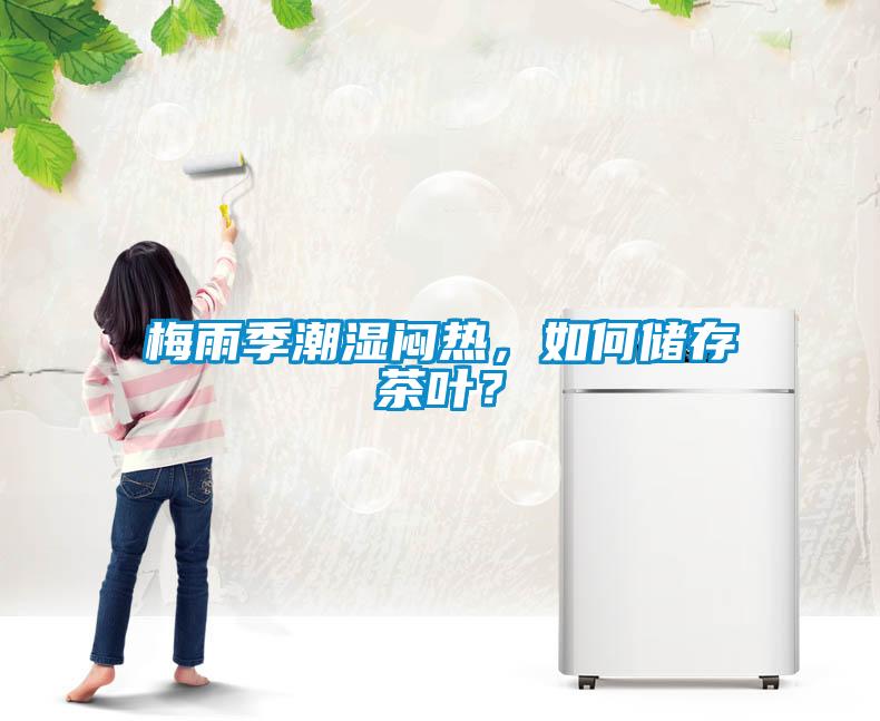 梅雨季潮濕悶熱，如何儲存茶葉？