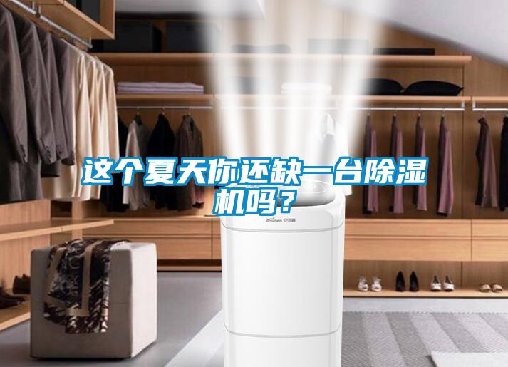 這個夏天你還缺一臺除濕機嗎？