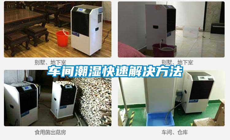 車間潮濕快速解決方法