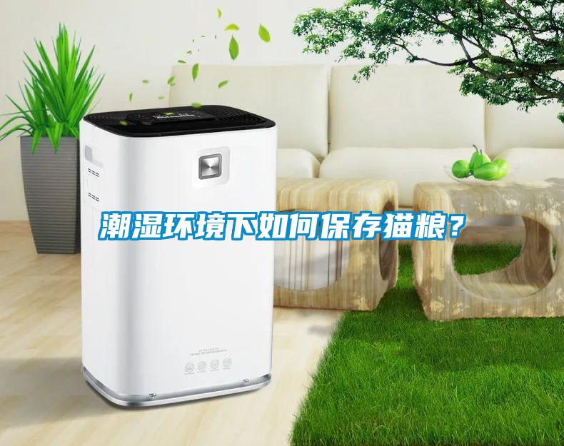 潮濕環(huán)境下如何保存貓糧？