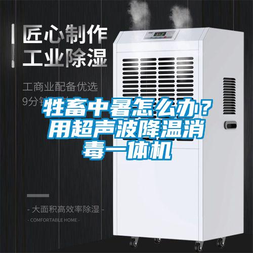牲畜中暑怎么辦？用超聲波降溫消毒一體機
