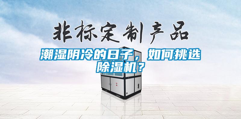 潮濕陰冷的日子，如何挑選除濕機？