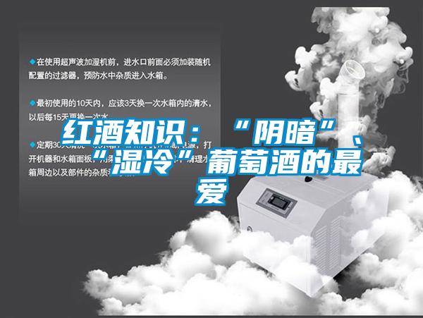 紅酒知識：“陰暗”、“濕冷”葡萄酒的最愛
