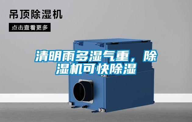清明雨多濕氣重，除濕機可快除濕