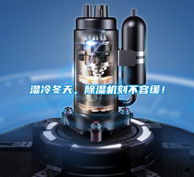 濕冷冬天，除濕機刻不容緩！