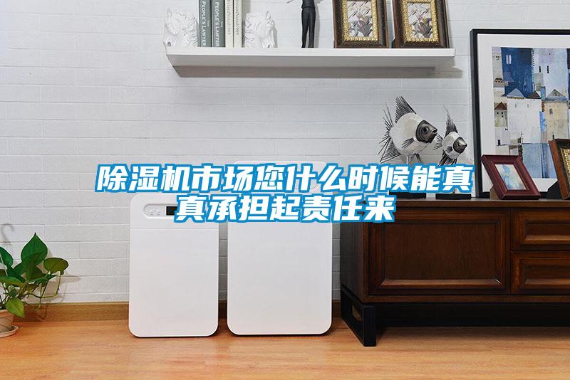 除濕機(jī)市場您什么時(shí)候能真真承擔(dān)起責(zé)任來