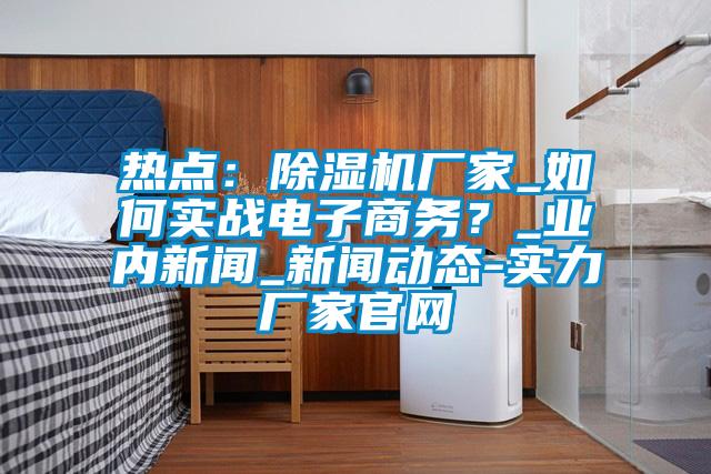 熱點(diǎn)：除濕機(jī)廠家_如何實(shí)戰(zhàn)電子商務(wù)？_業(yè)內(nèi)新聞_新聞動(dòng)態(tài)-實(shí)力廠家官網(wǎng)