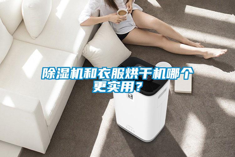 除濕機和衣服烘干機哪個更實用？