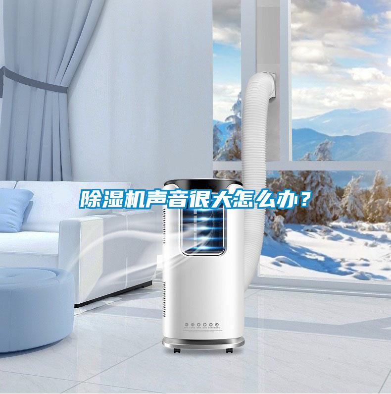 除濕機(jī)聲音很大怎么辦？