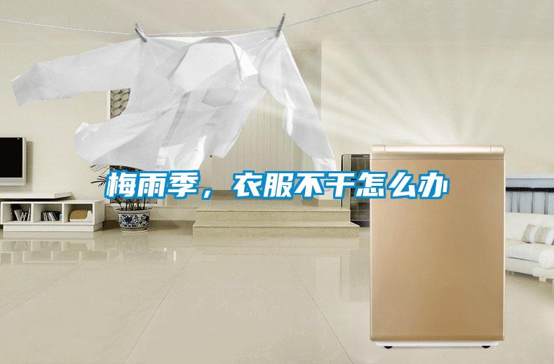 梅雨季，衣服不干怎么辦