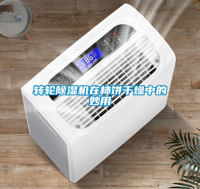 轉(zhuǎn)輪除濕機(jī)在柿餅干燥中的妙用