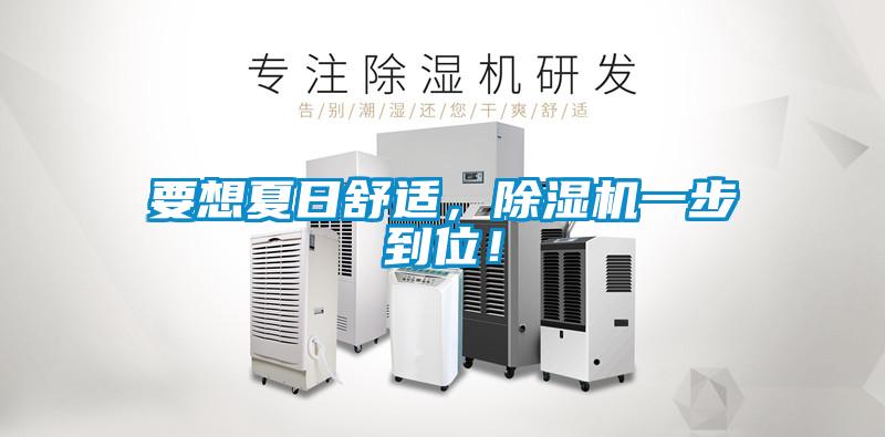 要想夏日舒適，除濕機(jī)一步到位！