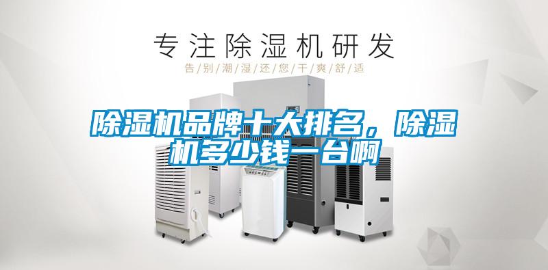 除濕機(jī)品牌十大排名，除濕機(jī)多少錢(qián)一臺(tái)啊
